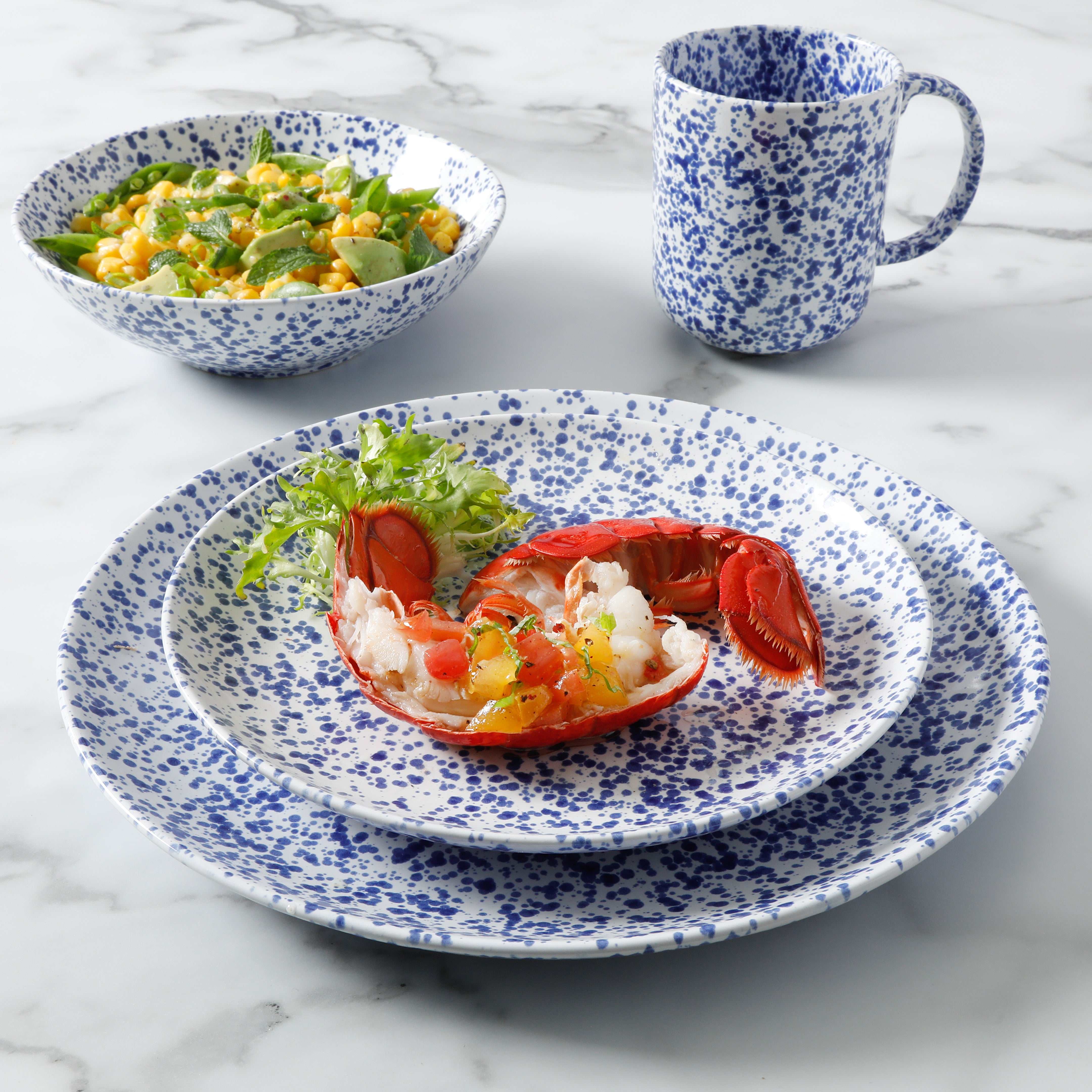 Martha Stewart Warham 16-Piece Hand Painted Splatter Reactive Stoneware Dinnerware Set