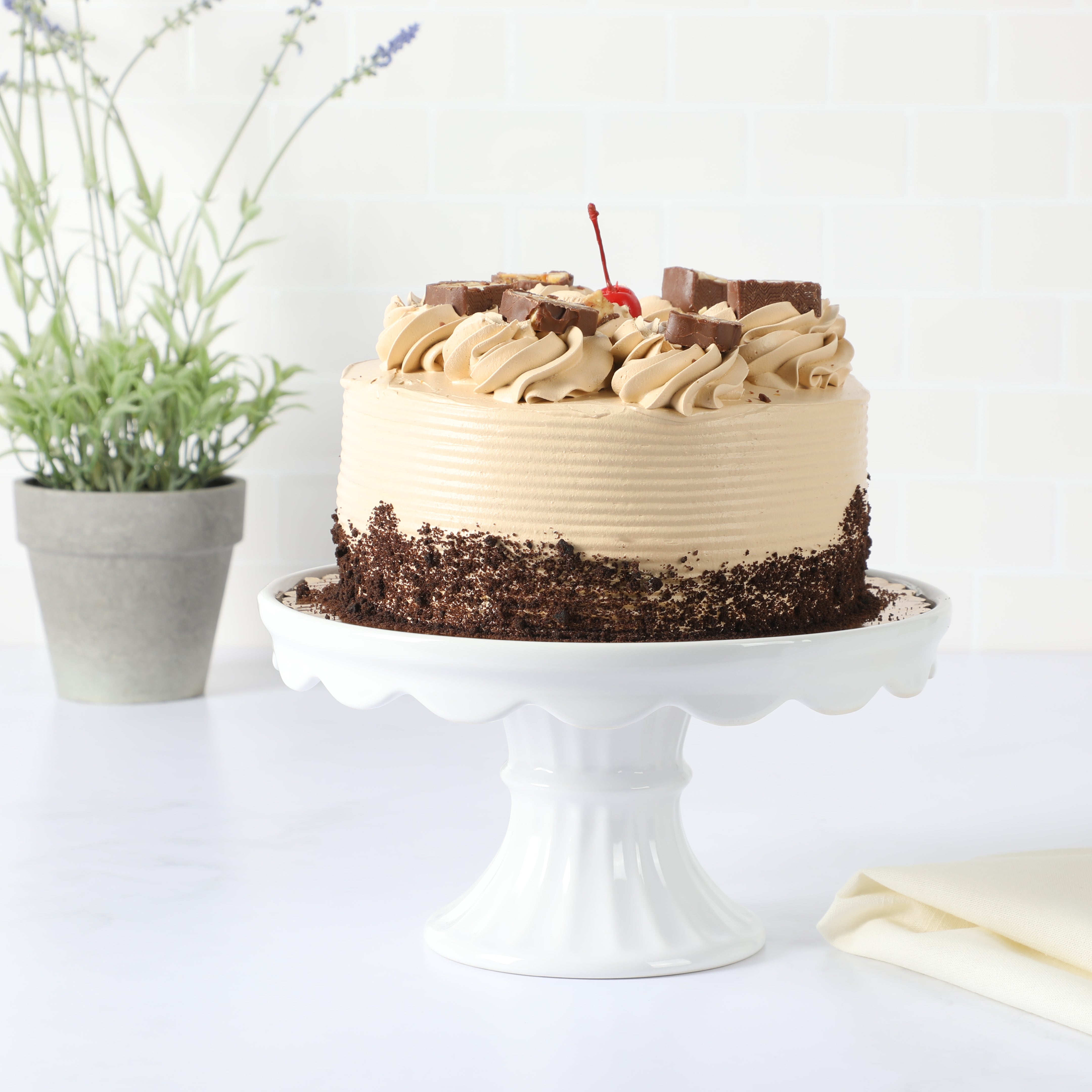 Martha Stewart Patterson 10" x 5.1" White Round Stoneware Cake Stand