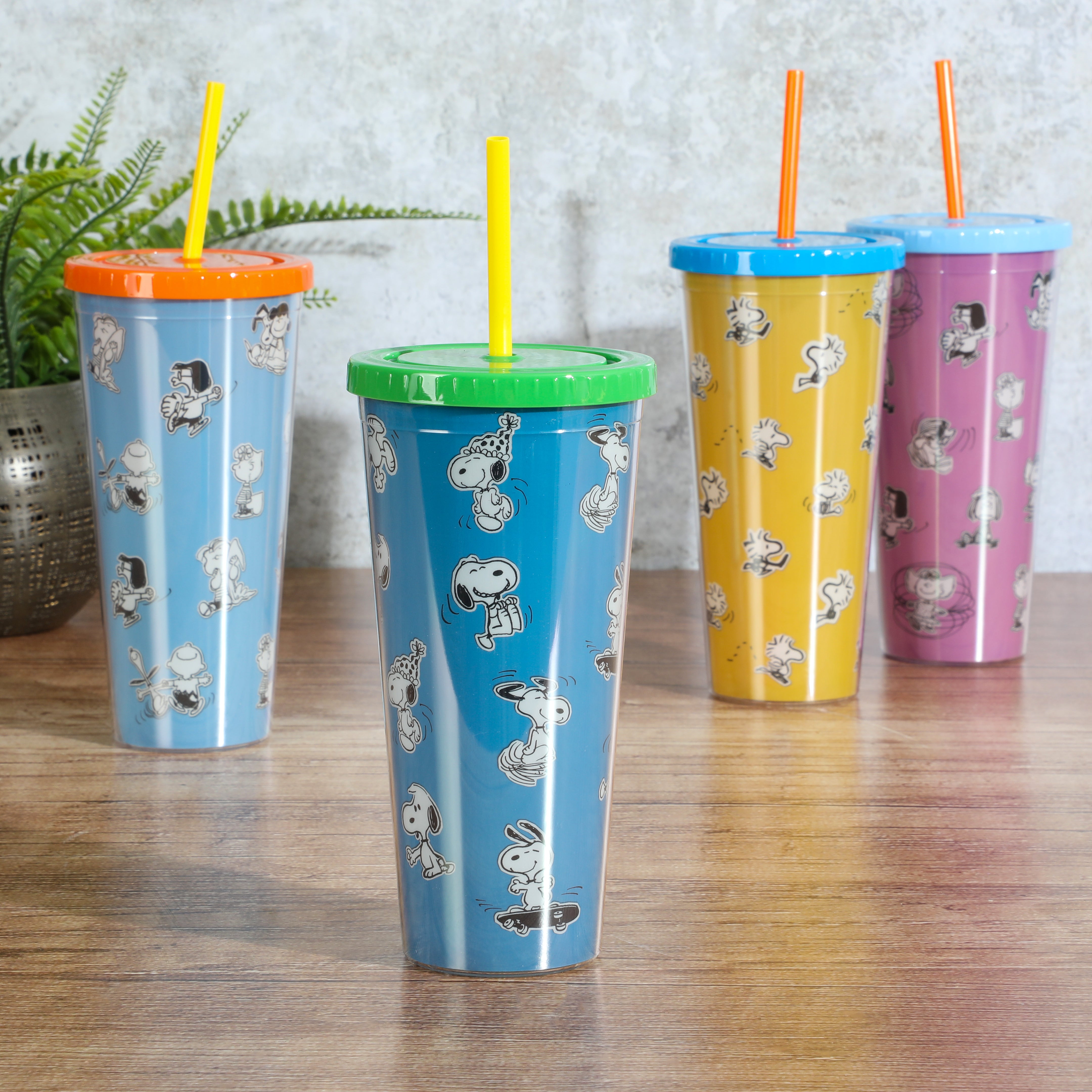 Peanuts 70th Anniversary 23.6oz Double Wall Acrylic Tumbler Set w/ Lids and Straws