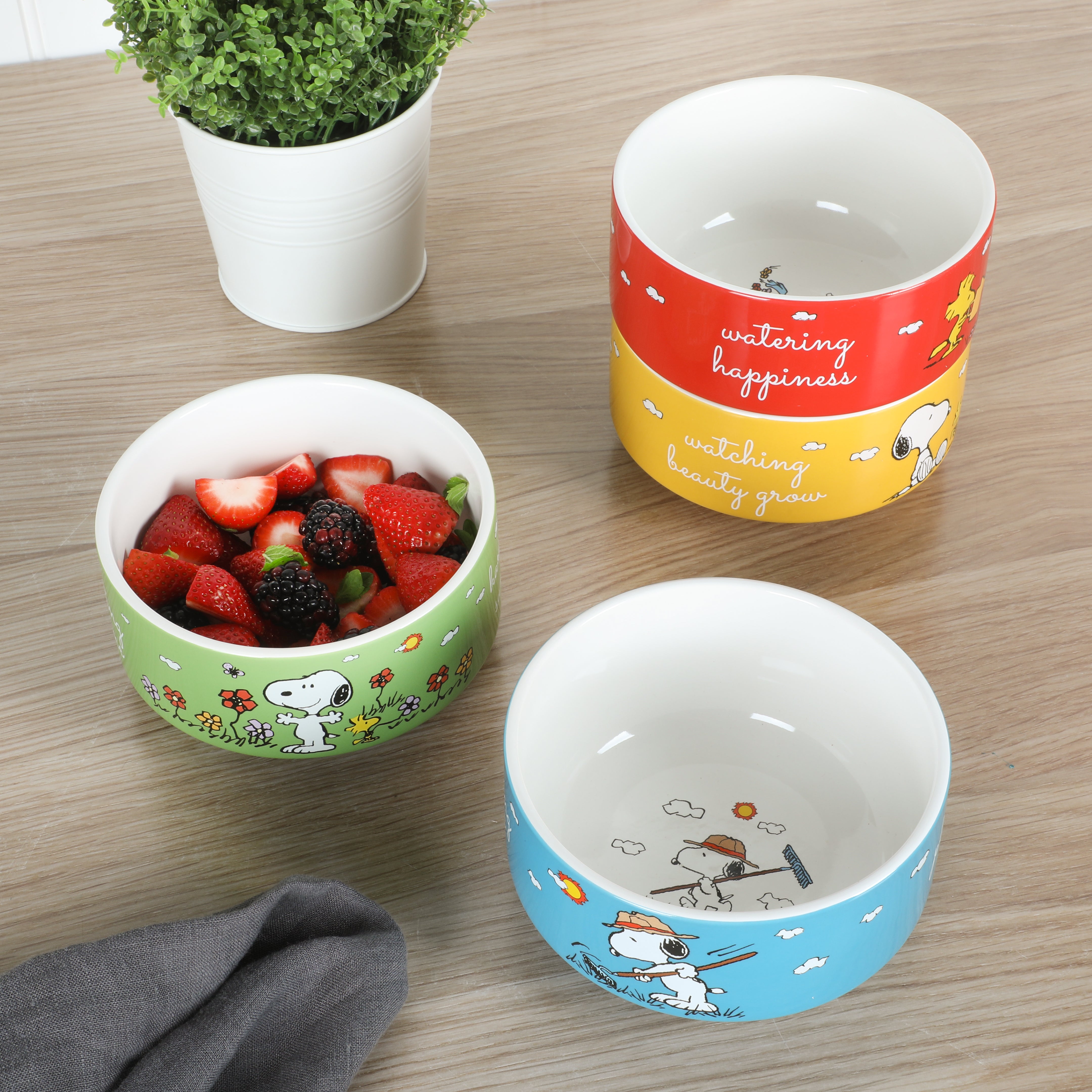 Peanuts Snoopy 4-Pack Stackable 5.5" Decorated Stoneware Bowl Set