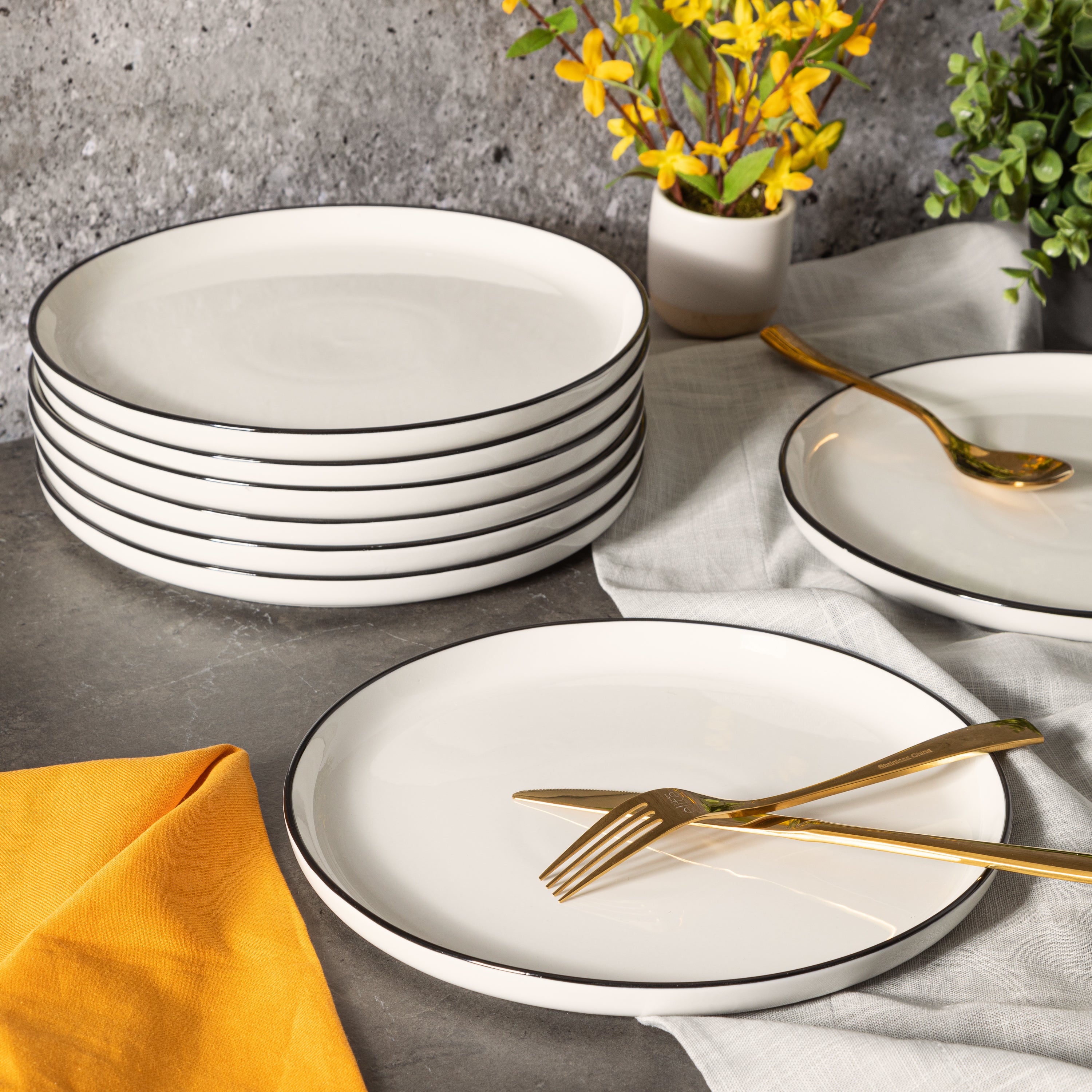 Dinner plate sets discount
