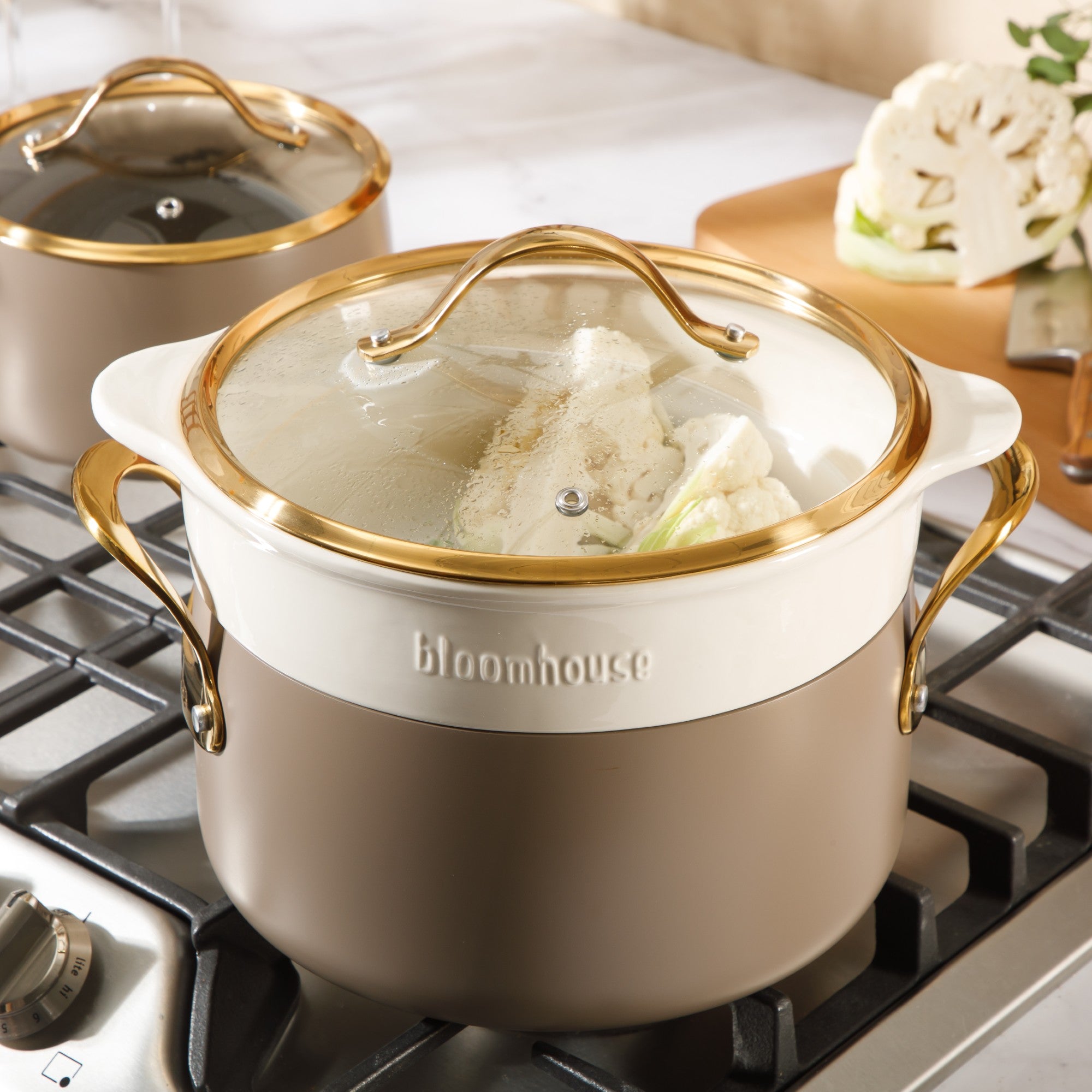 Bloomhouse 8 Piece Pots and Pans Heavy Duty Aluminum Premium PFA Free