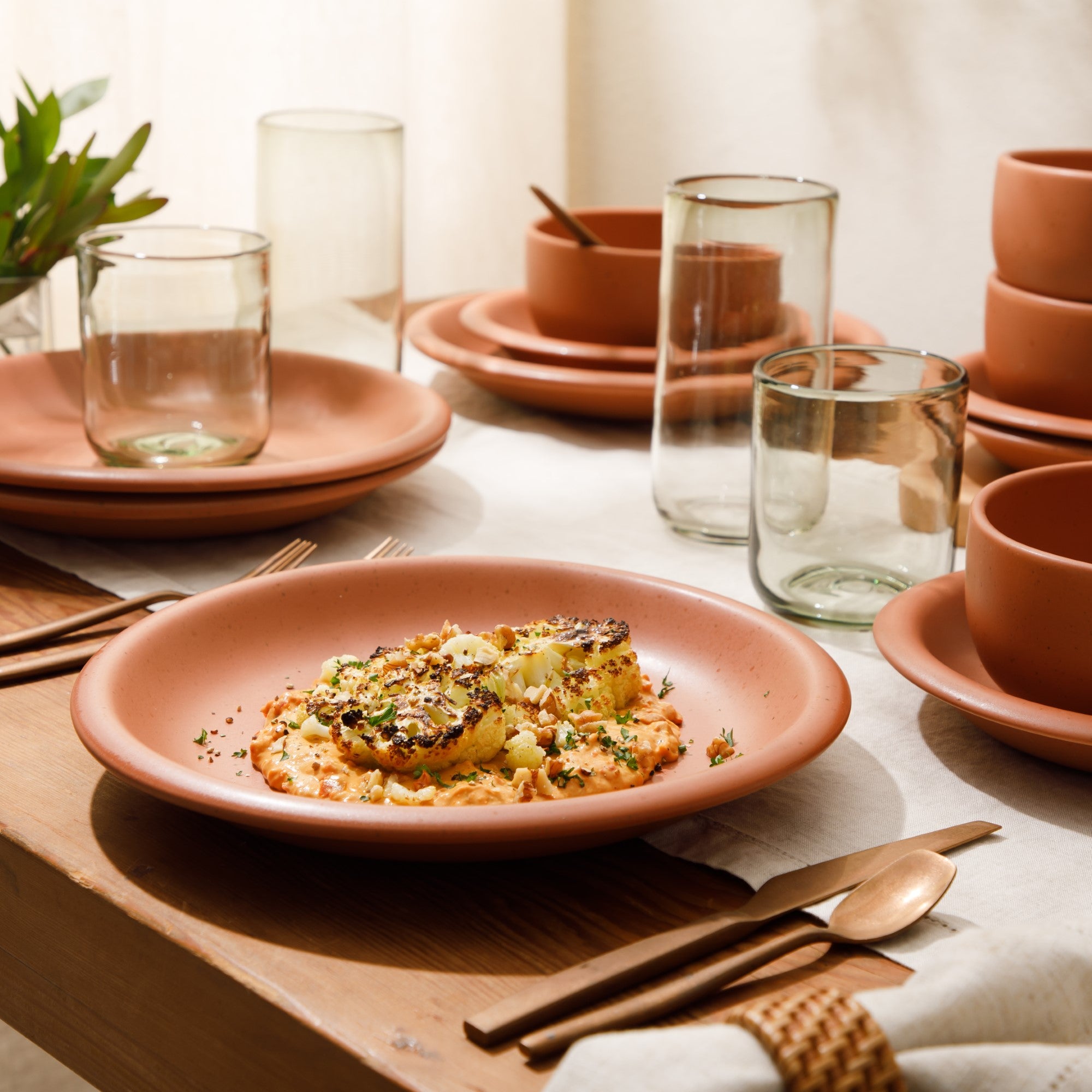 Bloomhouse Corsica Clay 12 Piece Stoneware Reactive Glaze Dinnerware Set