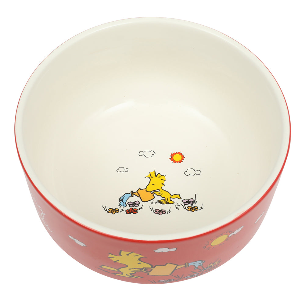 Peanuts Snoopy 6 Pack Stackable 5.5" Decorated Stoneware Bowl Set W/ Plate