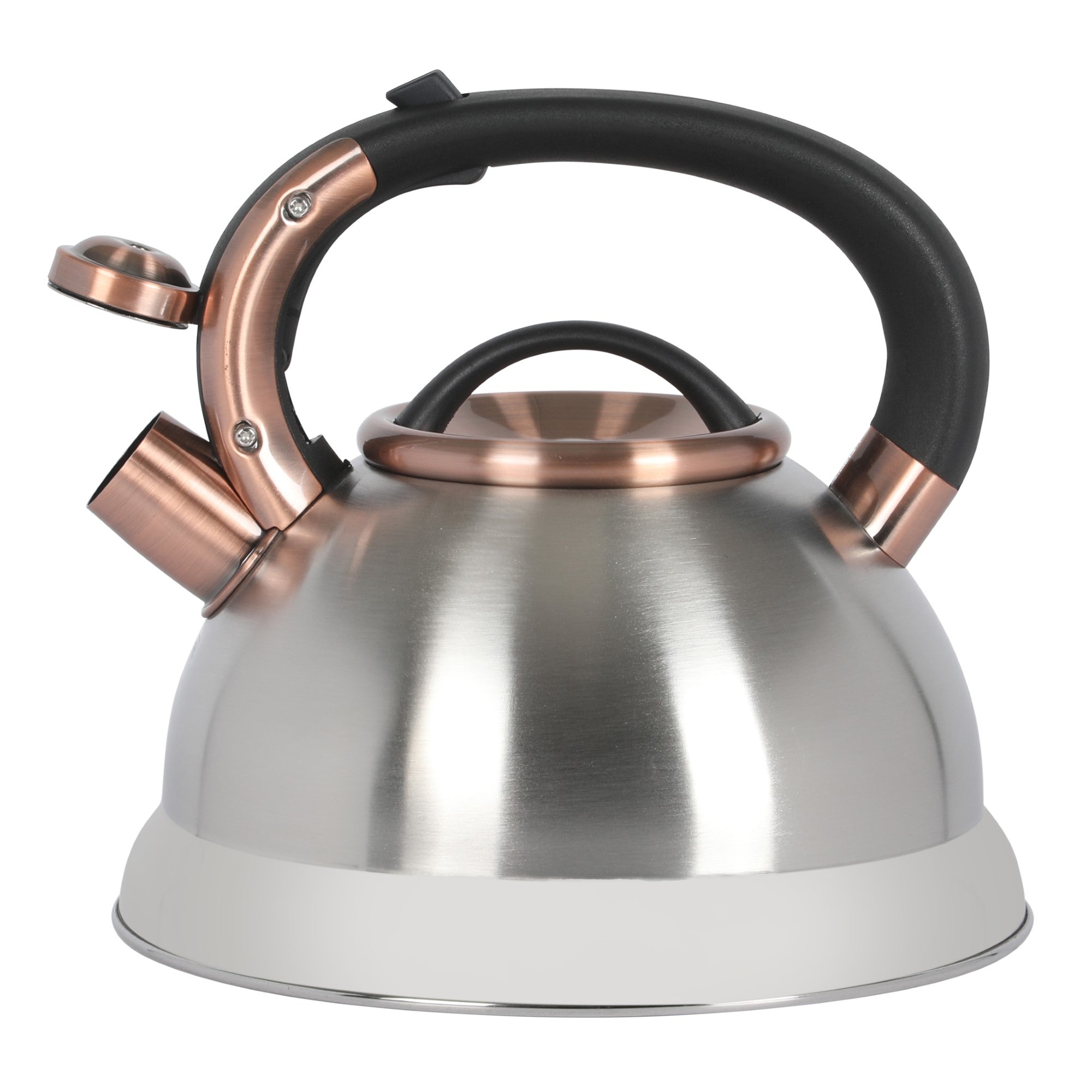 Mr. Coffee Flintshire 2.2 Quart Large Whistling Stainless Steel Tea Kettle