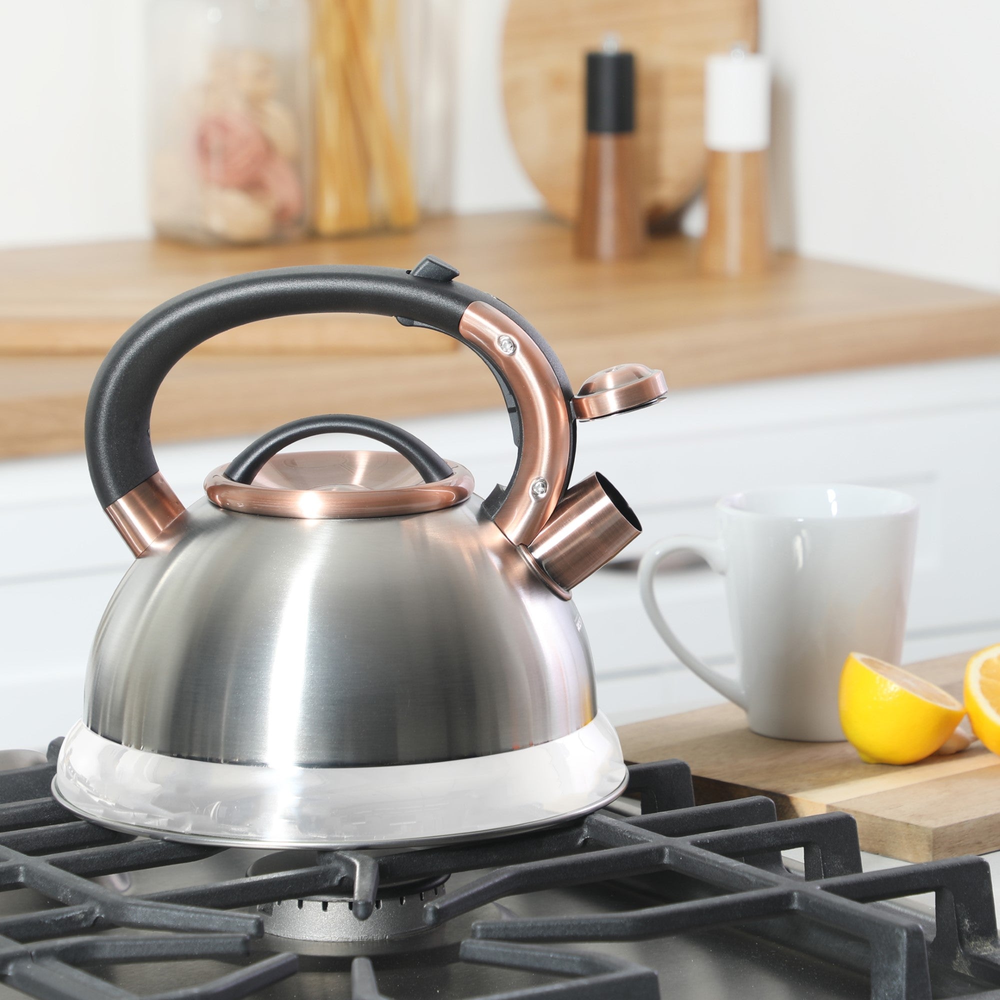 Mr. Coffee Flintshire 2.2 Quart Large Whistling Stainless Steel Tea Ke