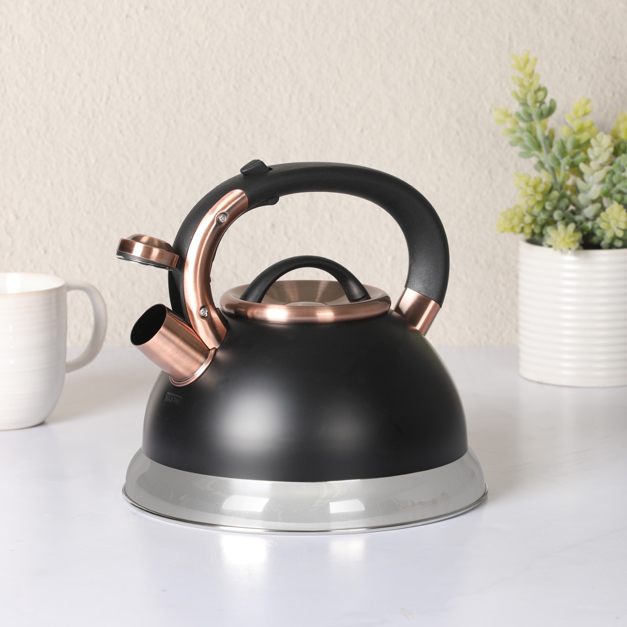 Mr. Coffee Flintshire 2.2 Quart Large Whistling Stainless Steel Tea Kettle