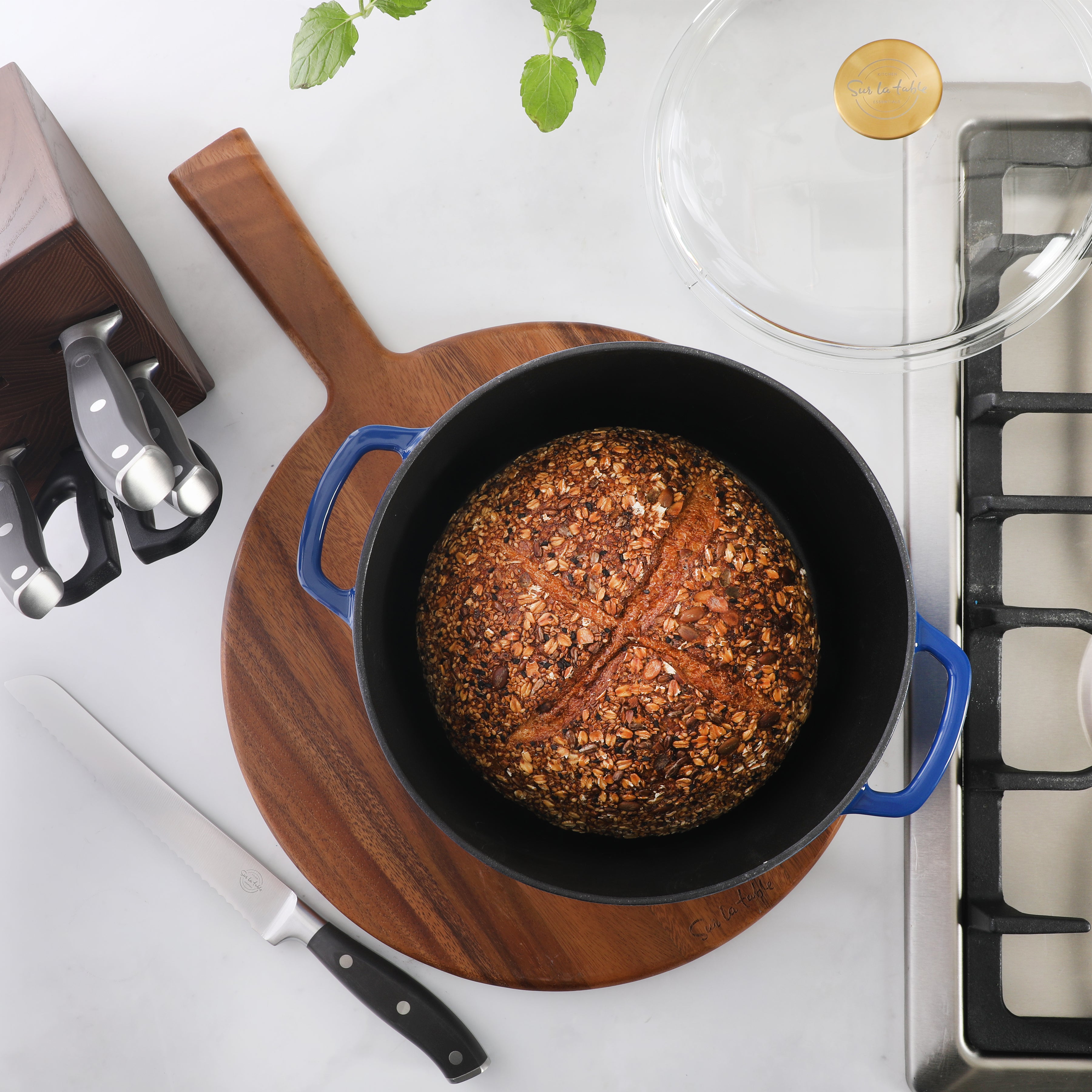 Sur La Table Kitchen Essentials Supper Club 5-Quart Enamel-Coated Cast Iron Dutch Oven Pot with Oven Safe Glass Lid, Oven-to-Table Cookware for Bread, Soups, Stews & Braising